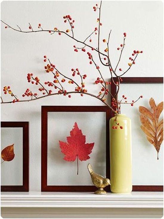 fall decoration with berry branches and leaves in frames