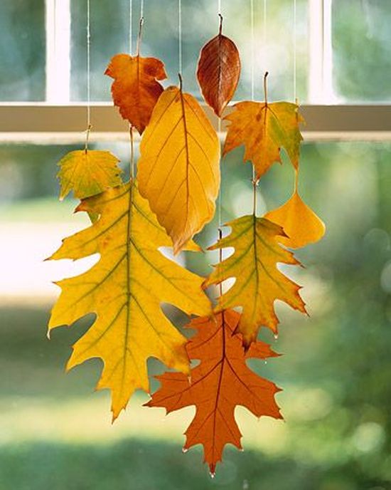 fall decoration with yellow leaves in front of a window
