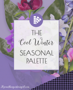 Learn more about the Cool Winter seasonal color palette on 30somethingurbangirl.com