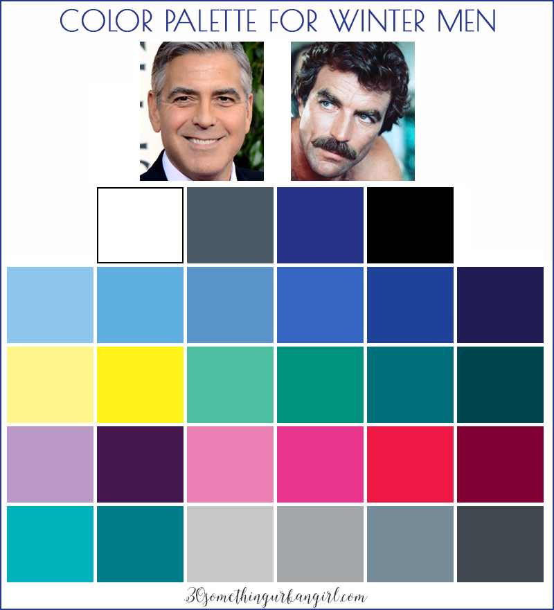 Color palette for Winter seasonal color men